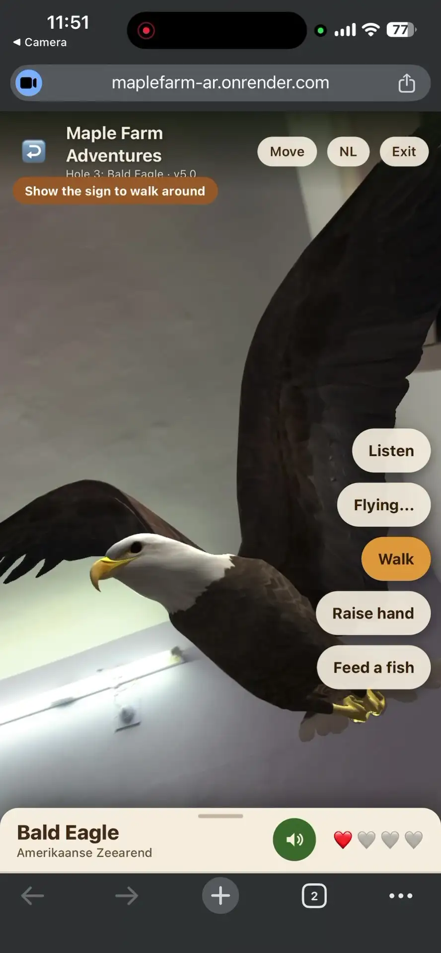Bald eagle in flight in augmented reality with wings spread, filling the phone screen after the Fly button was pressed
