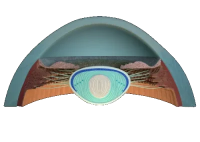 Foveated rendering