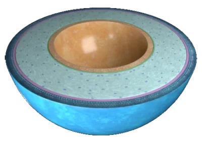 Gaze-based interaction