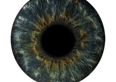 Pupillary response tracking