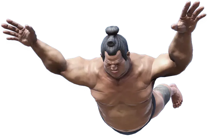 fighting game development services 10 Wrestling and MMA game development by NipsApp