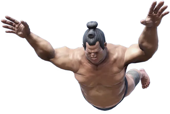 Wrestling game development by NipsApp Game Studios