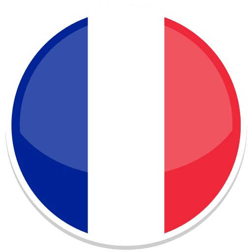 GAME DEVELOPMENT SERVICES IN FRANCE